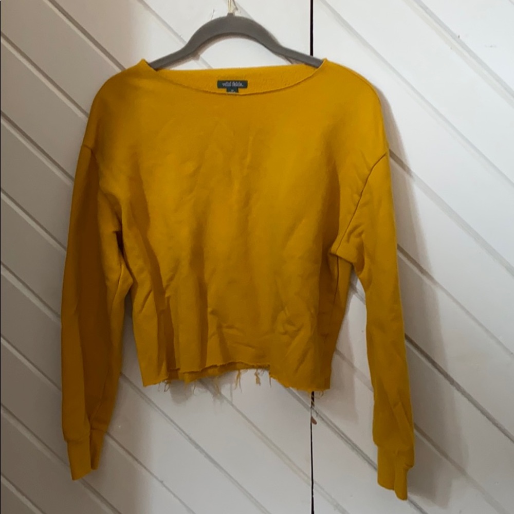 Wild fable cropped sweater